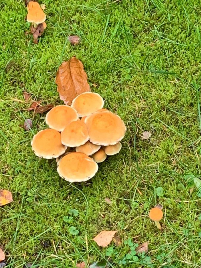 Vosseveen 62 Zelhem Zewnętrze zdjęcie