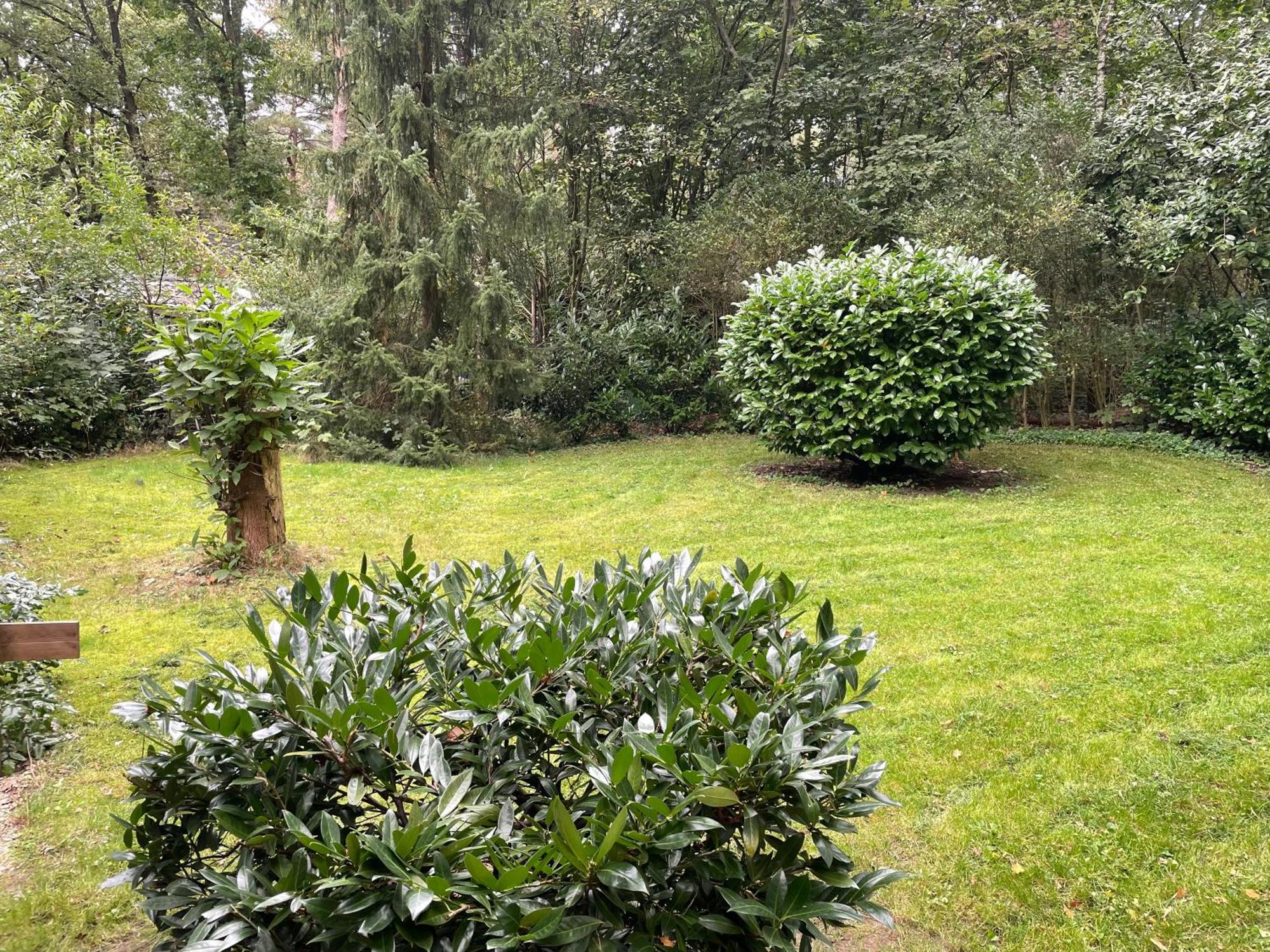 Vosseveen 62 Zelhem Zewnętrze zdjęcie